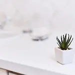 Arcadia Hygge Odessa